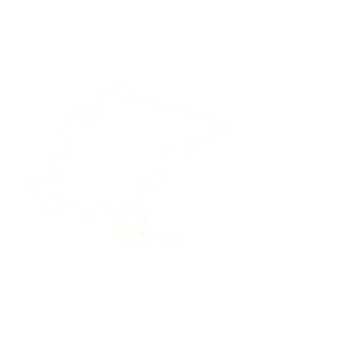 domain_asia